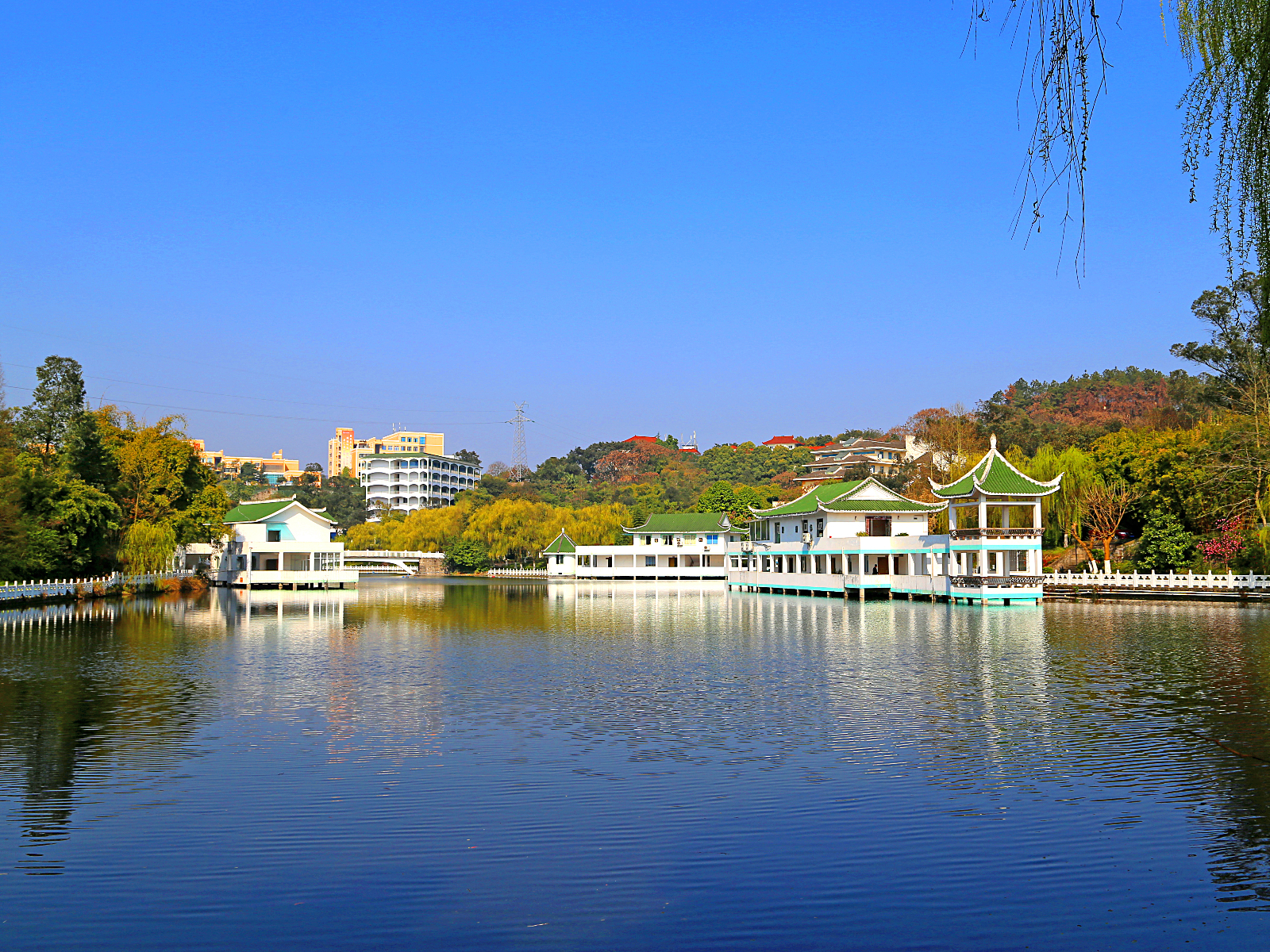 重庆信息技术职业学院